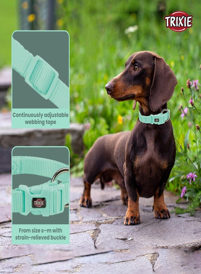 TRIXIE Premium Collar, Softline Elegance Collar For Dogs, Nylon Material With Fully Adjustable Collar, Strain-Relieved Buckle With Soft Padding (Small-Medium, Mint),?23 cm,W_4.5 cm,Teal - Image 2